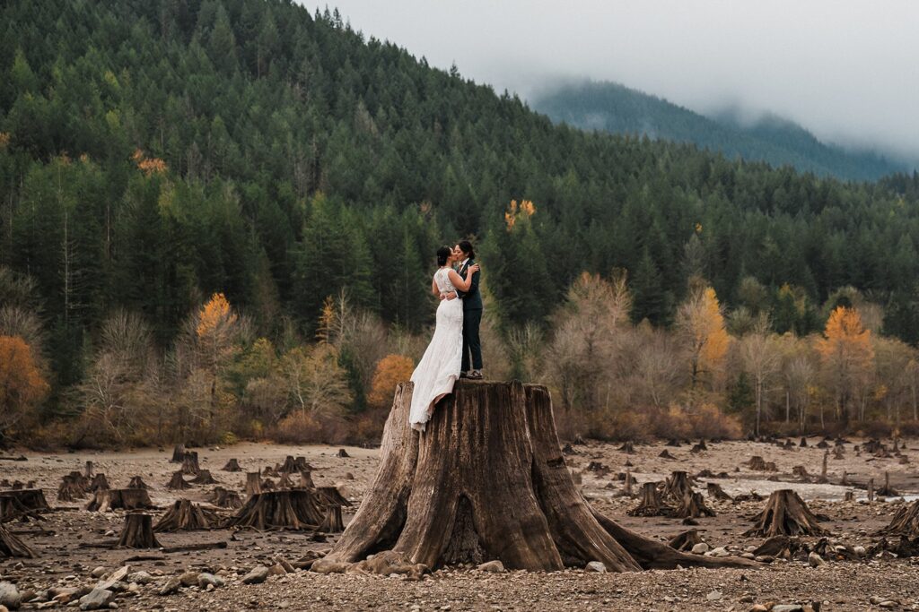 Two brides stand on top of a tree stump during their elopement in Snoqualmie