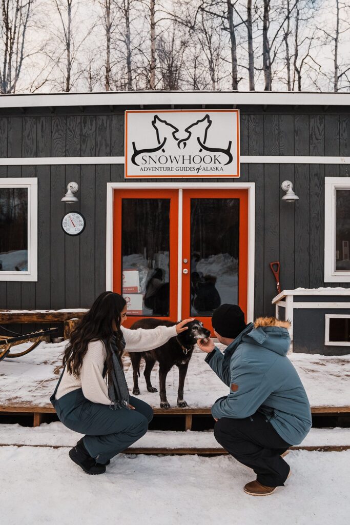 Couple kneels down to pet a dog during dog-sledding elopement in Alaska