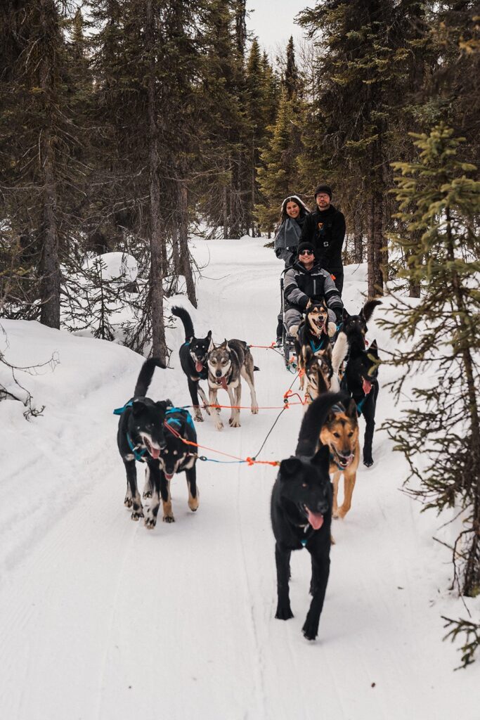 Couple rides on a dog sled during their Alaska elopement