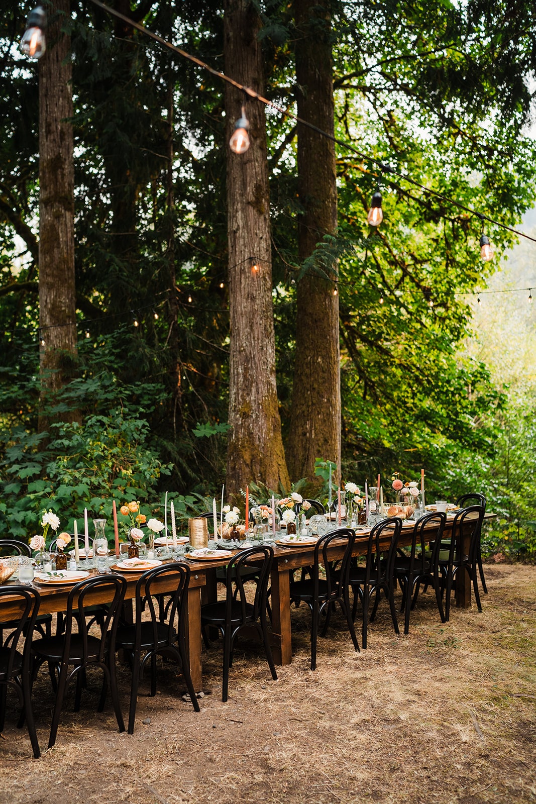 Black chairs line an outdoor forest reception table in the woods near a national park 