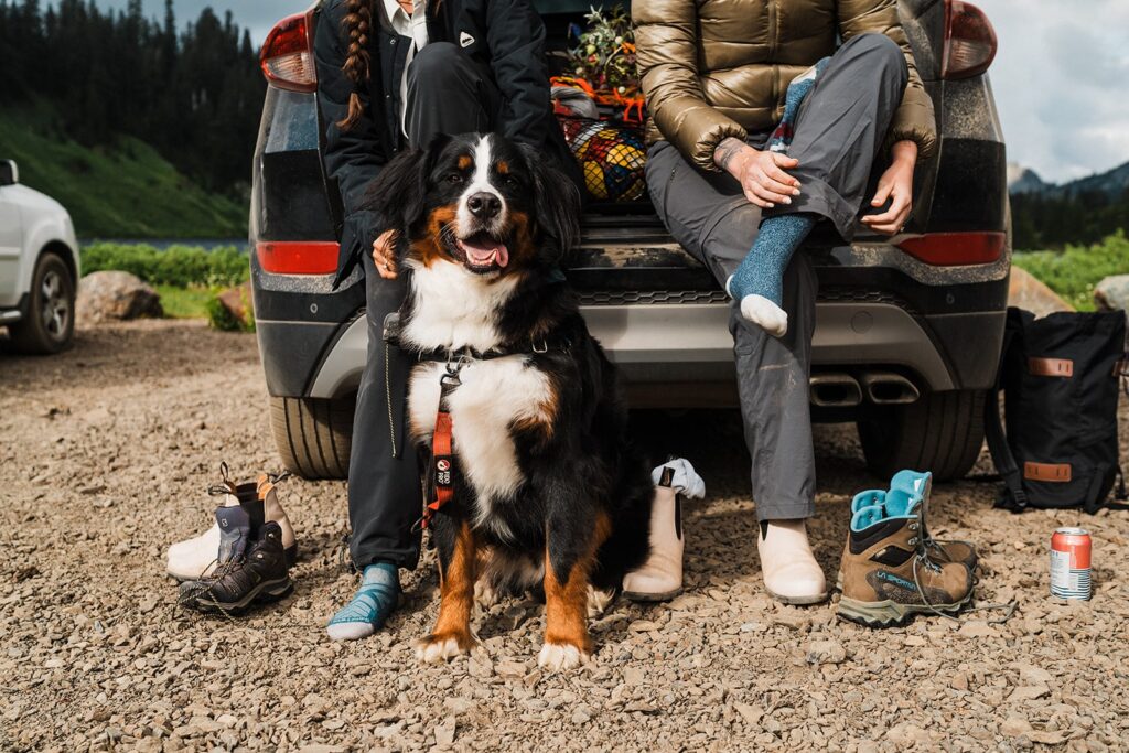 Brides put on their hiking boots while their Bernese Mountain dog sits at their feet