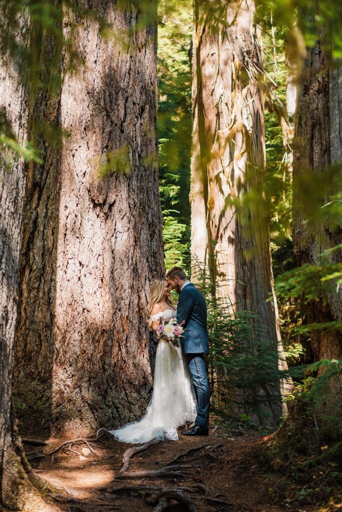 Bride and groom stand forehead to forehead in an old-growth forest at their Mount Rainier elopement 