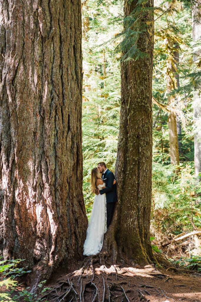 Bride and groom kiss in an old-growth forest during their Mount Rainier National Park elopement 