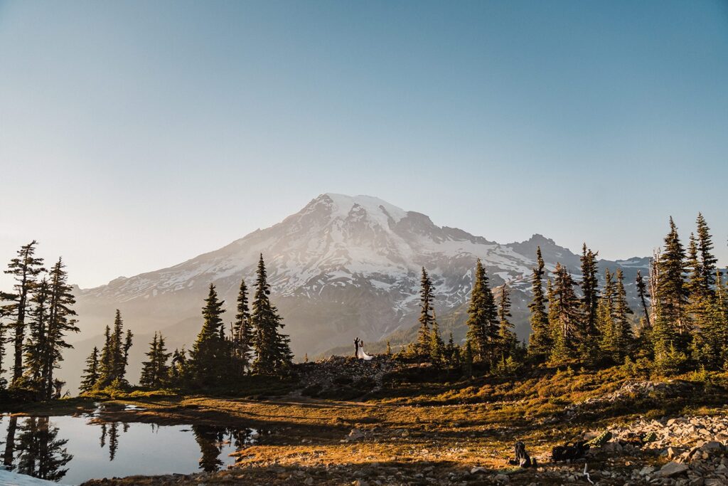 Bride and groom hold hands during their Mount Rainier National Park elopement ceremony