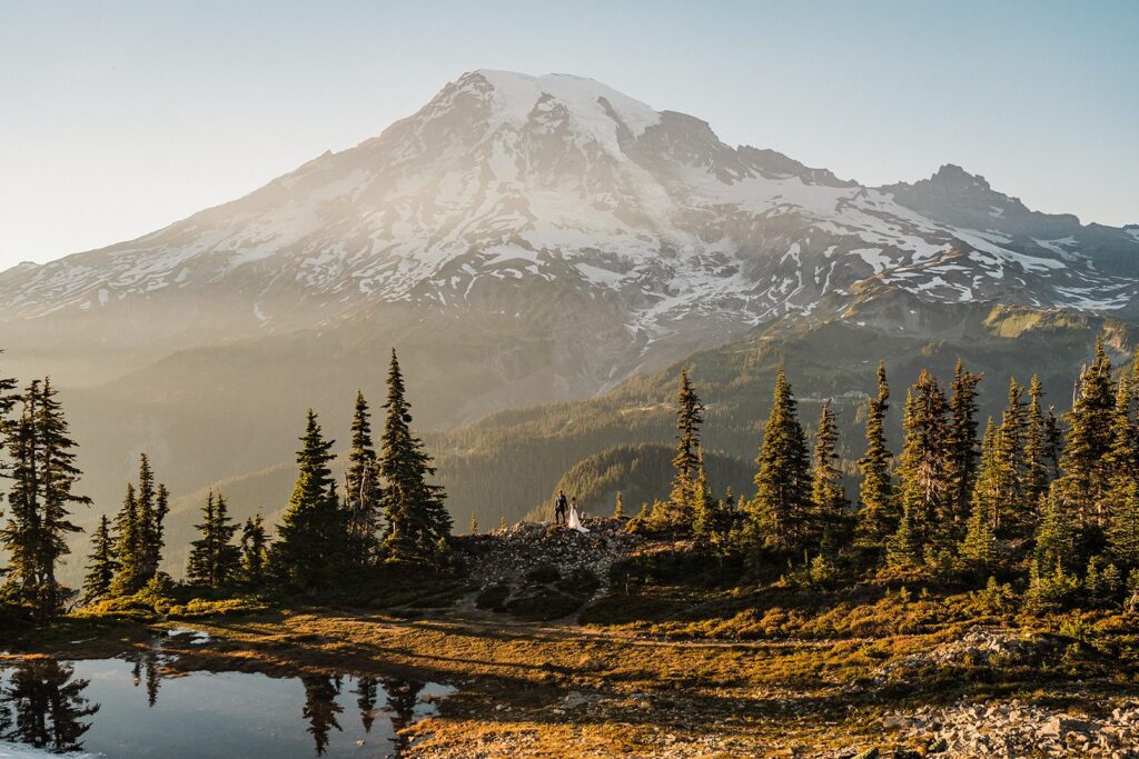 Bride and groom hold hands during their Mount Rainier National Park elopement ceremony