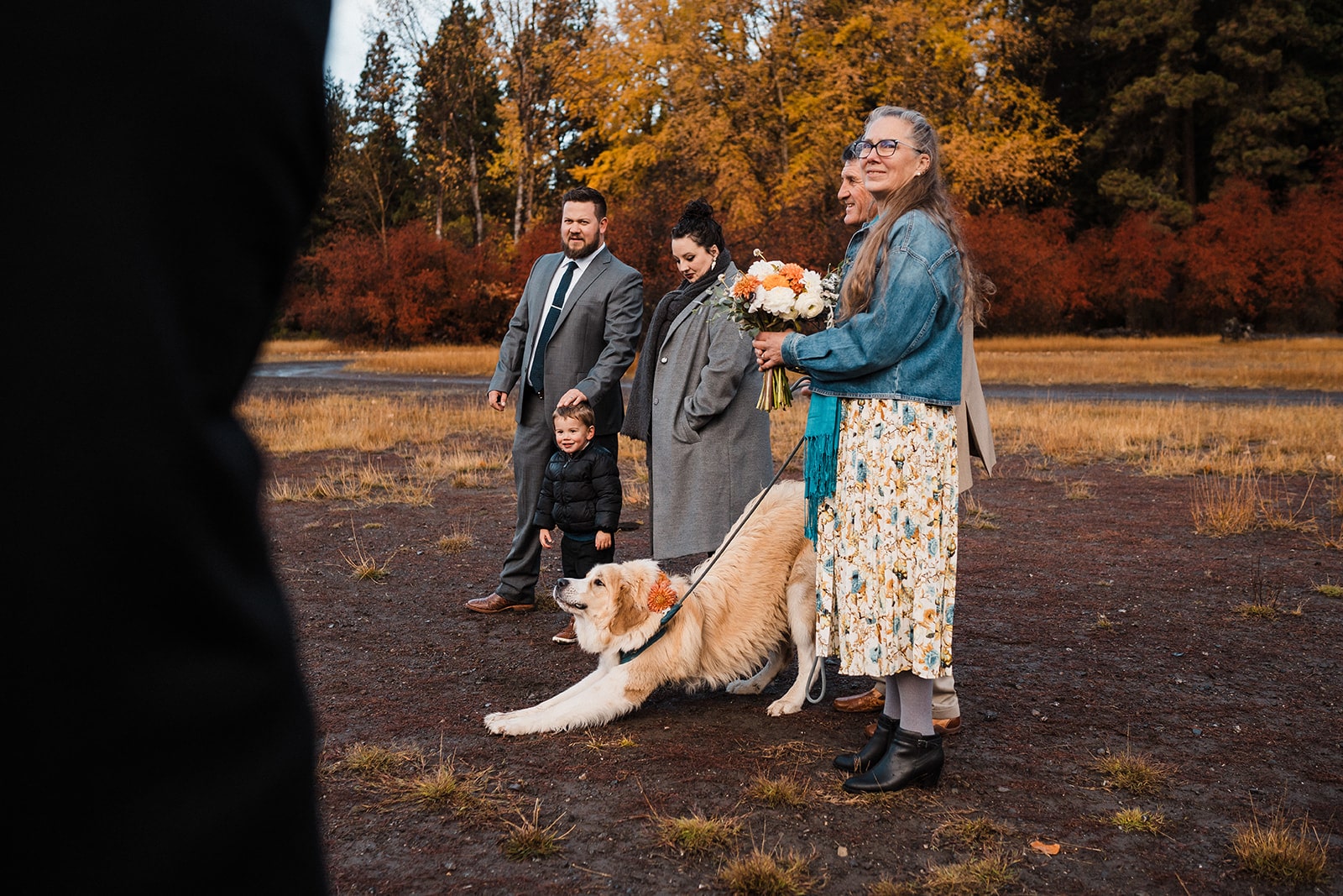 Guests look on and dog stretches during a Washington fall wedding ceremony