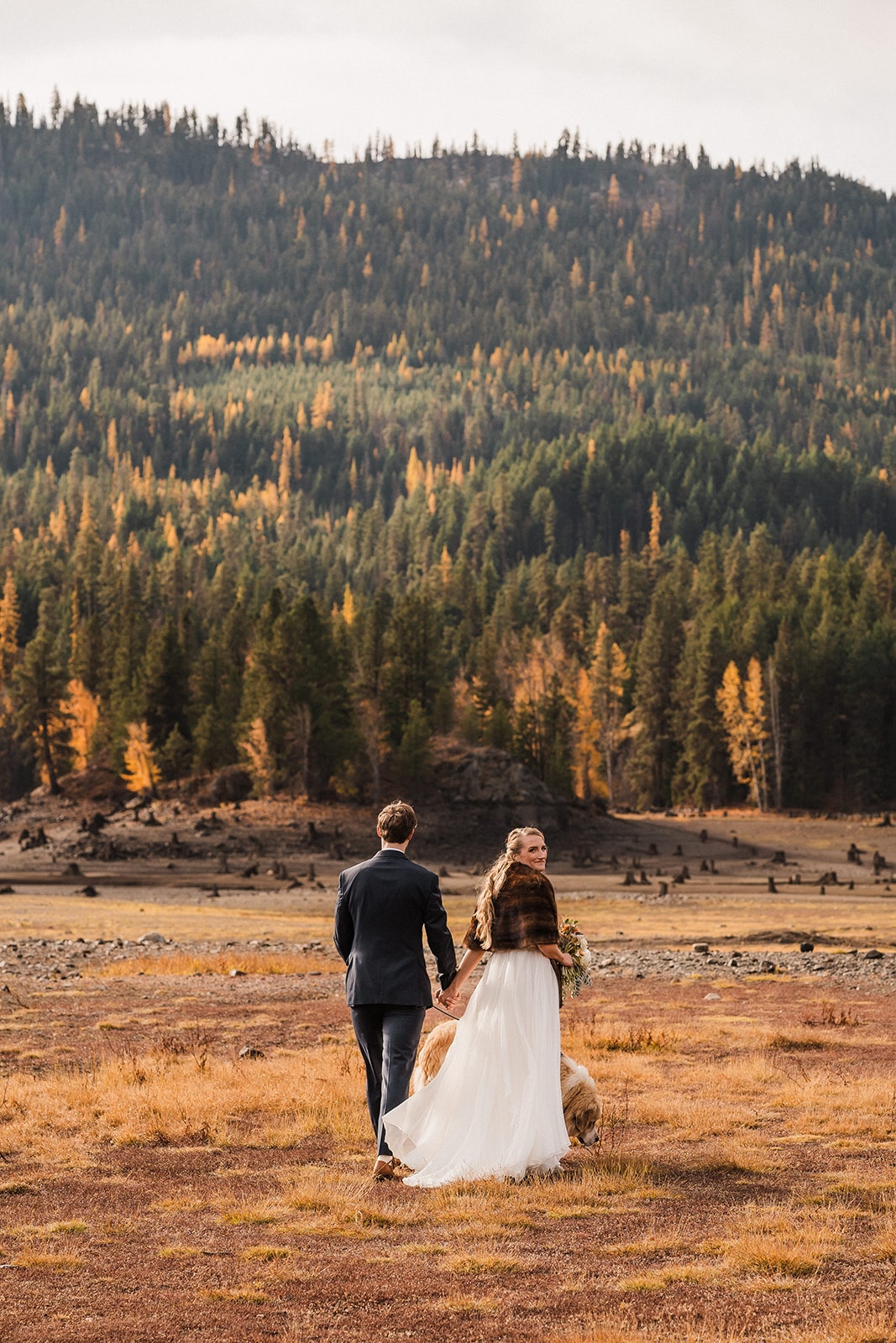 Bride and groom hold hands while walking through a field with larch trees dotting the mountains in the background