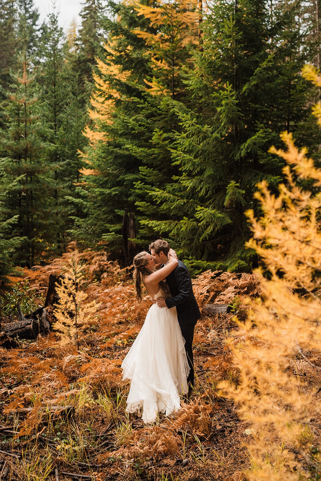 Bride and groom kiss in the forest surrounded by larch trees during their Washington fall wedding