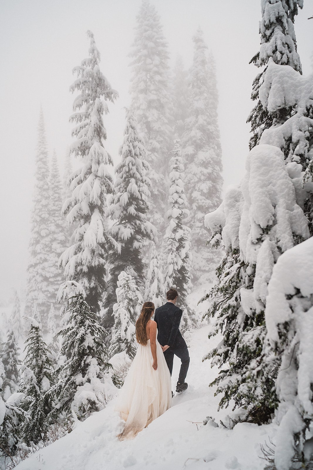 Bride and groom hold hands while walking on a snowy trail in Mt Rainier National Park