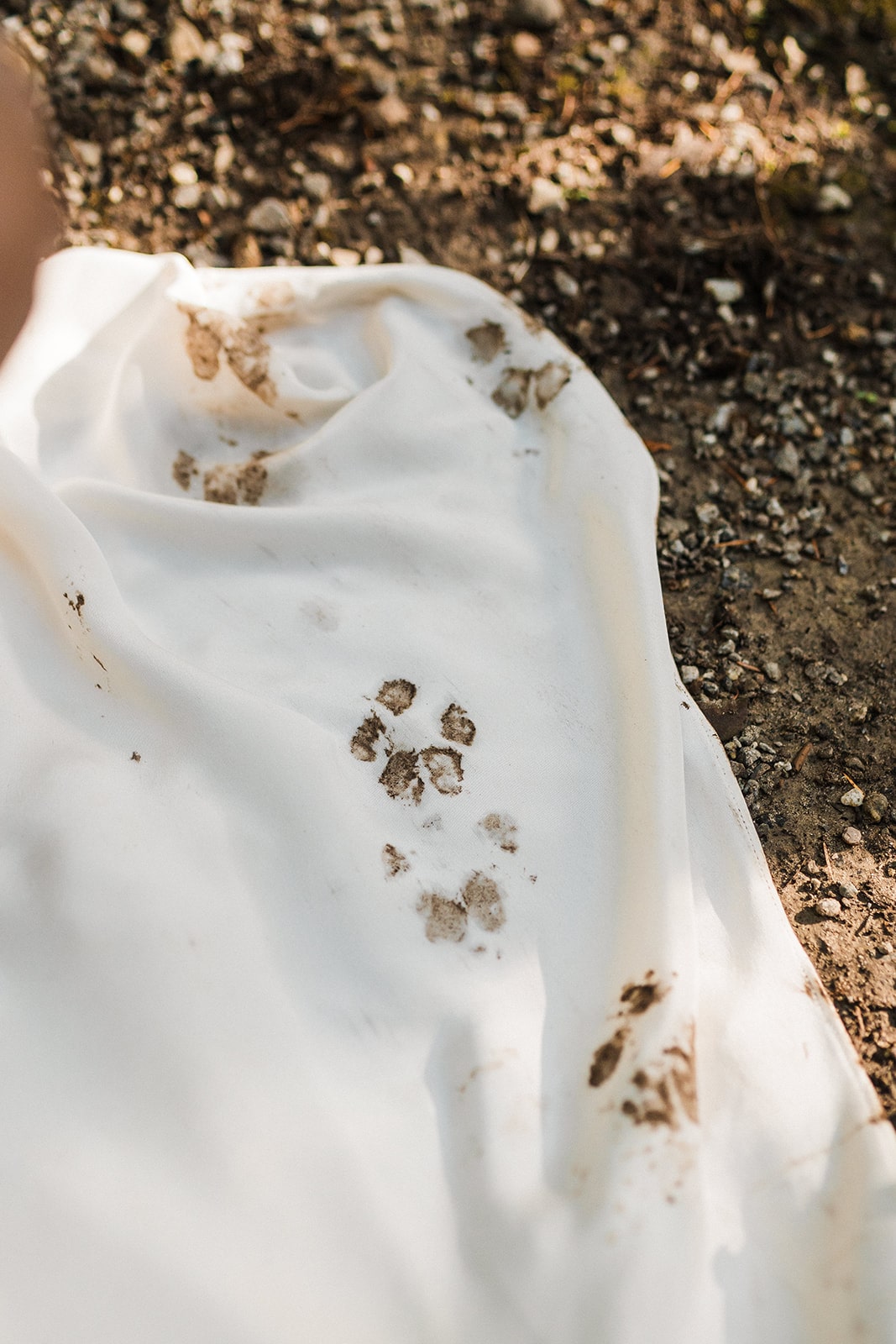 Muddy paw prints on a white wedding dress in the forest