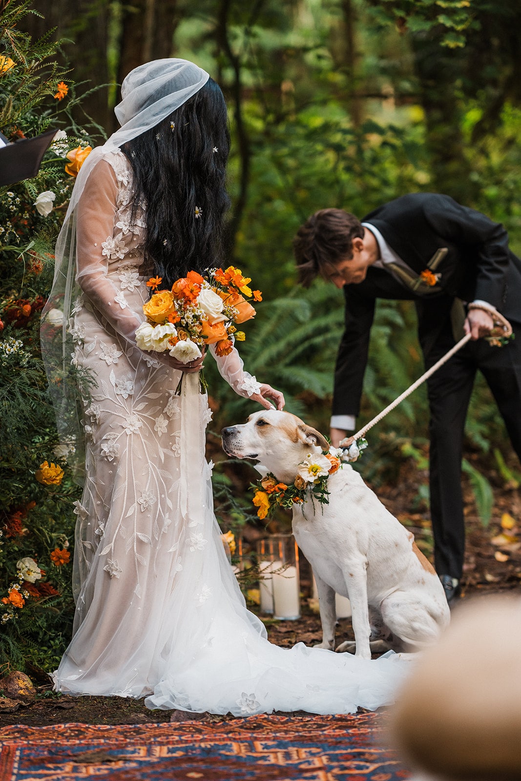 Bride and groom pet their dog during their Mt Baker elopement forest ceremony