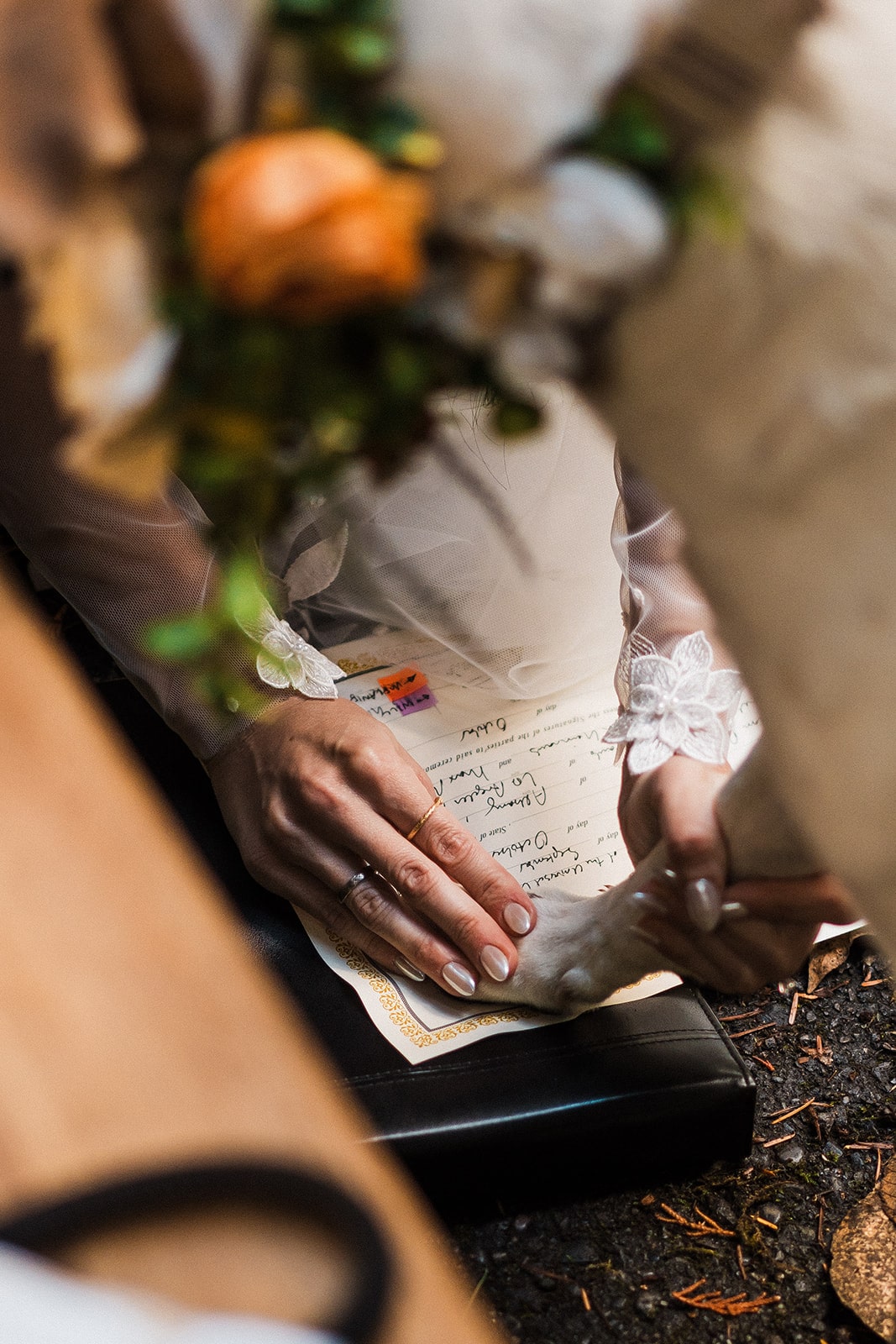 Bride places dog's paw on their marriage license during their Mt Baker elopement ceremony