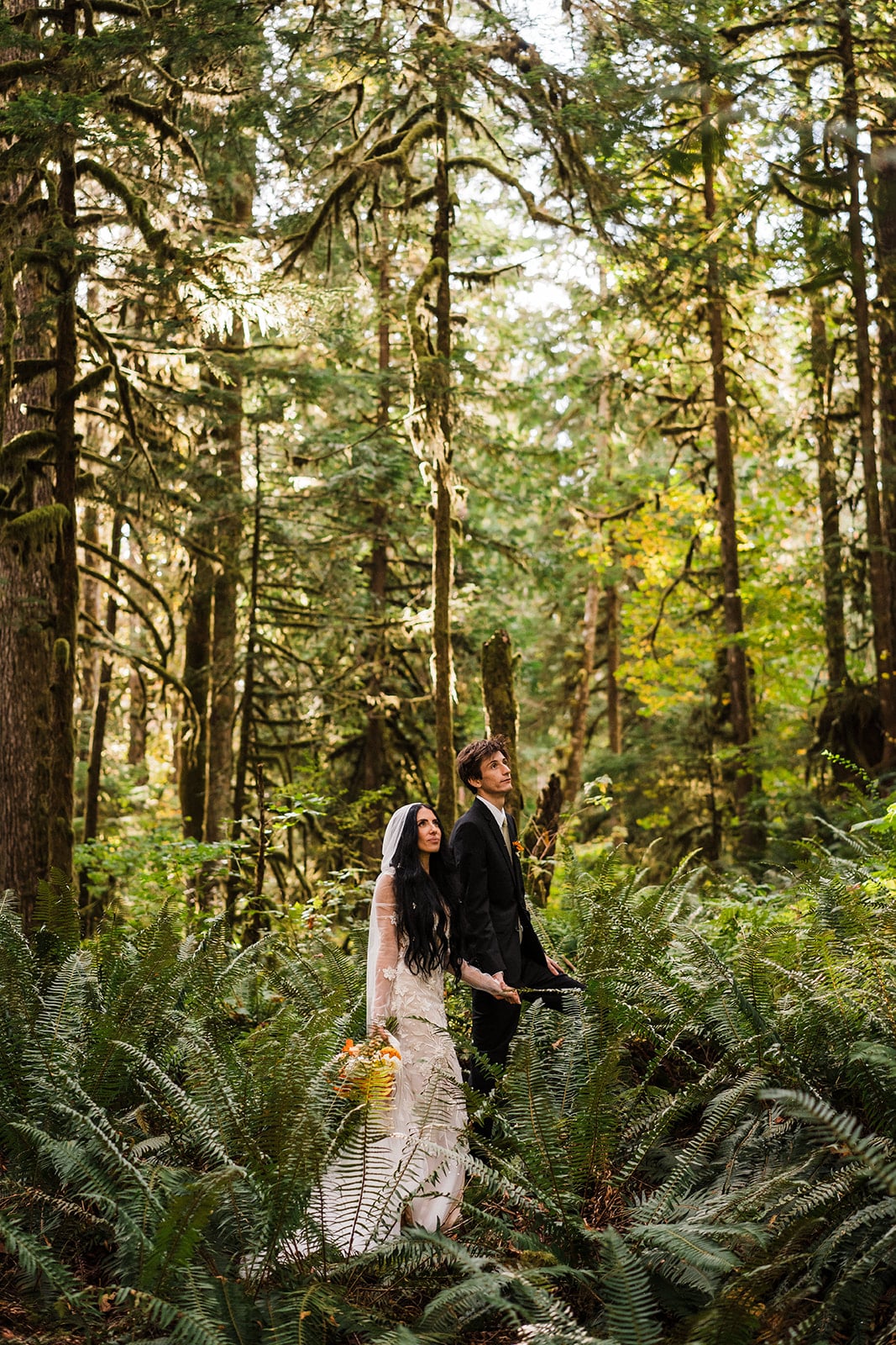 Bride and groom hold hands while looking up at the old-growth trees during their Mount Baker elopement 