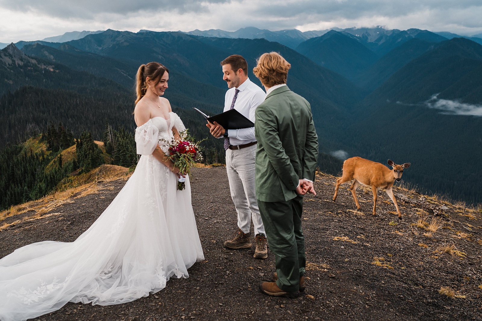 Deer walks by bride and groom during their national park elopement ceremony at Hurricane Ridge