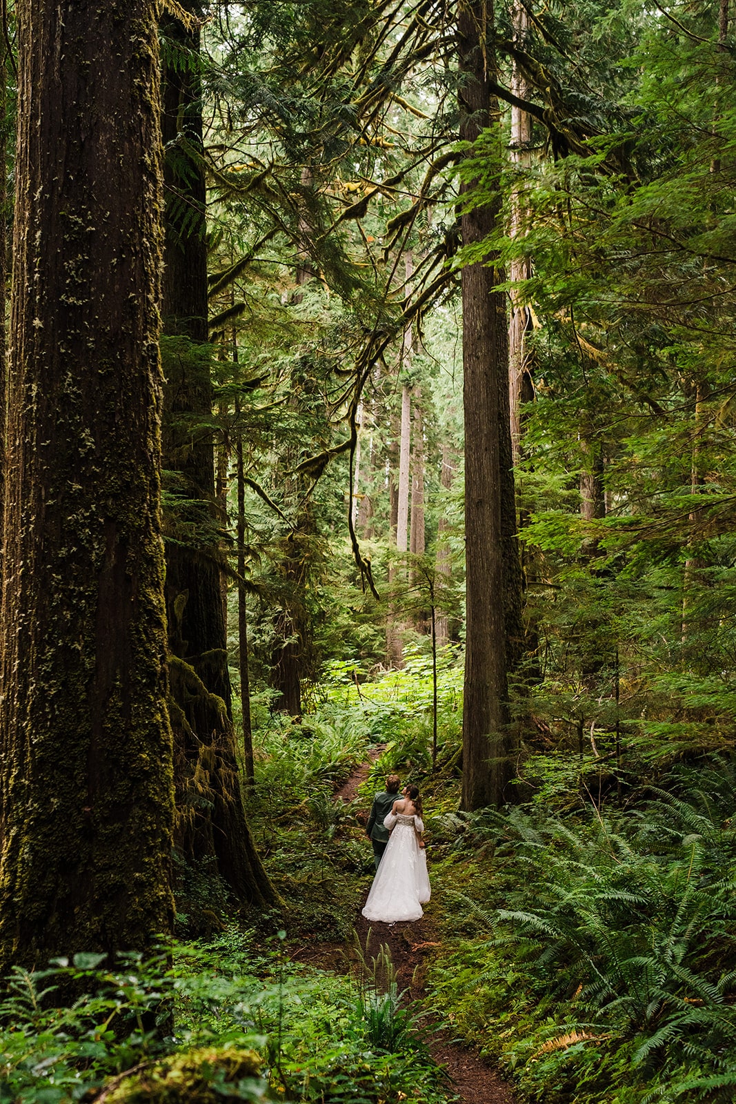 Bride and groom hold hands as they wander through the rainforest during their national park elopement 