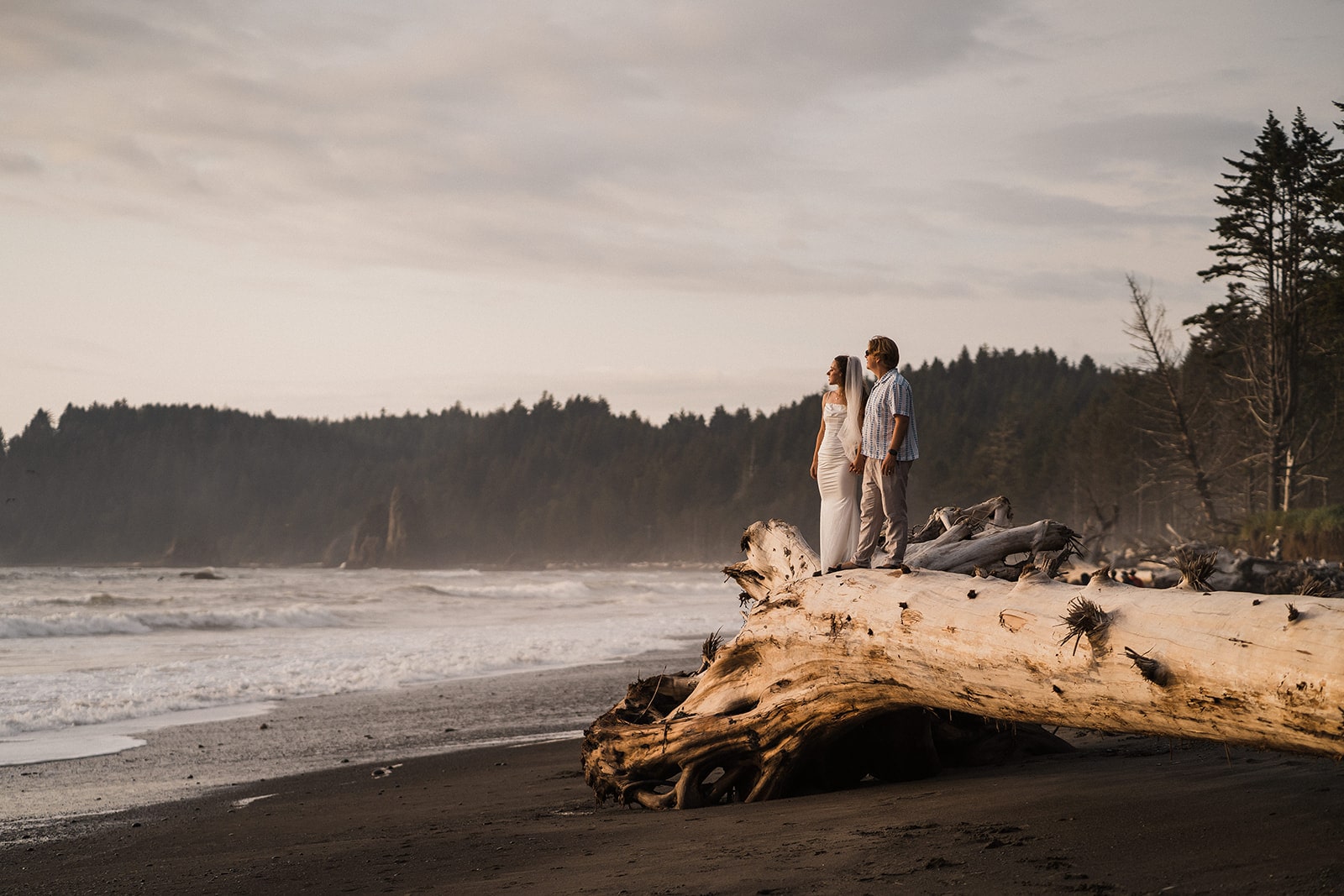 Bride and groom hold hands while standing on a fallen tree at Rialto Beach during their sunset adventure photos