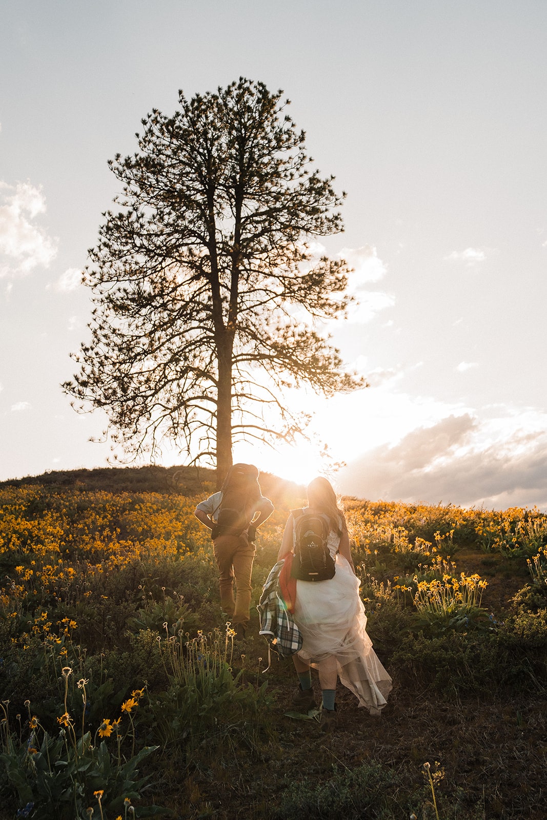 Bride and groom hike up to a tall tree in a meadow surrounded by wildflowers during their Eastern Washington elopement.