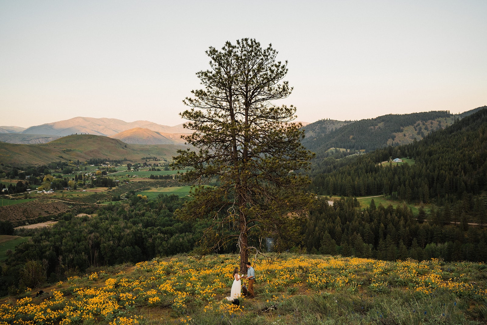 Bride and groom hold hands under a tall tree in the meadow during their elopement ceremony in Eastern Washington.