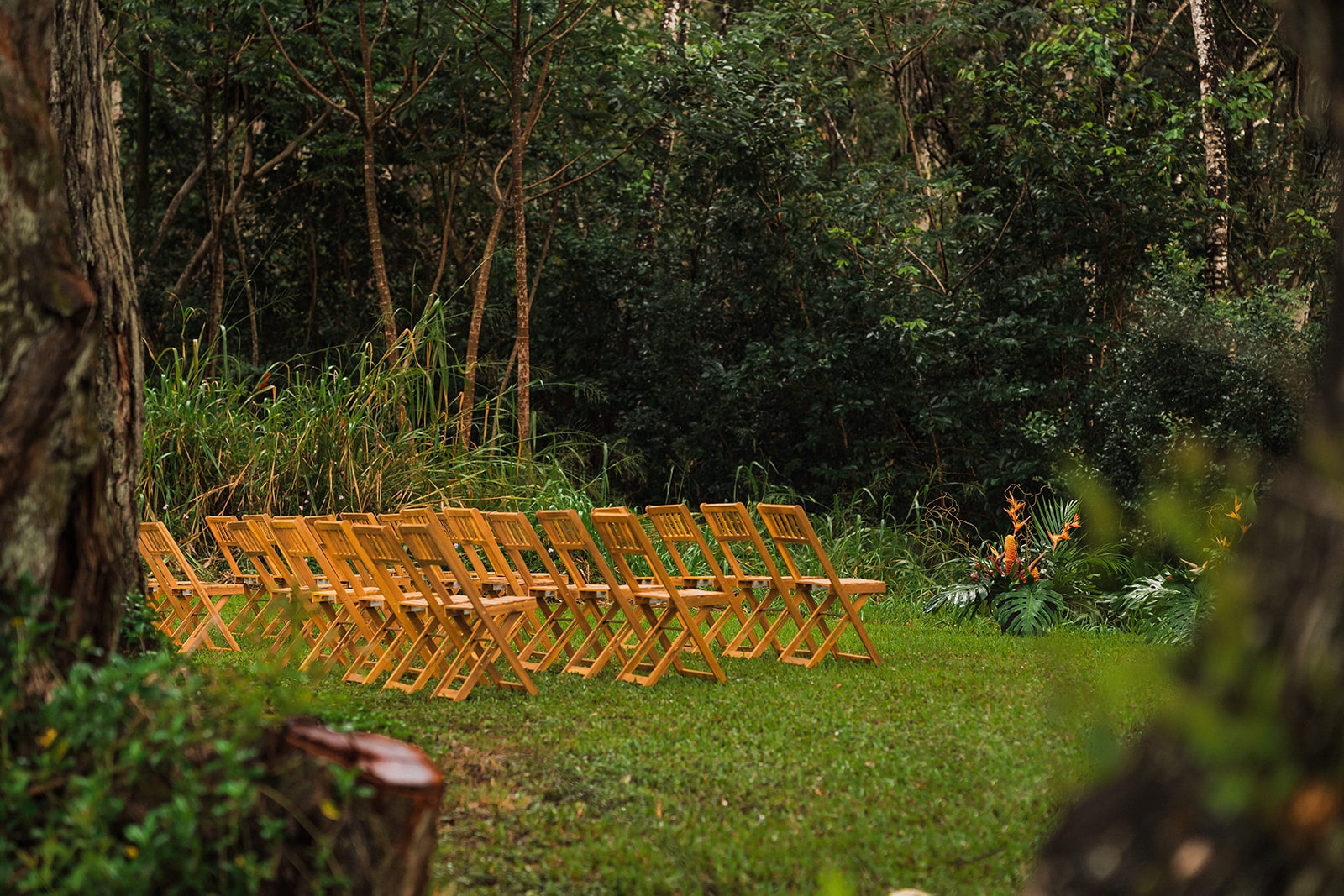 Wood folding chairs line the lawn of Common Ground, a micro wedding venue in Kauai.