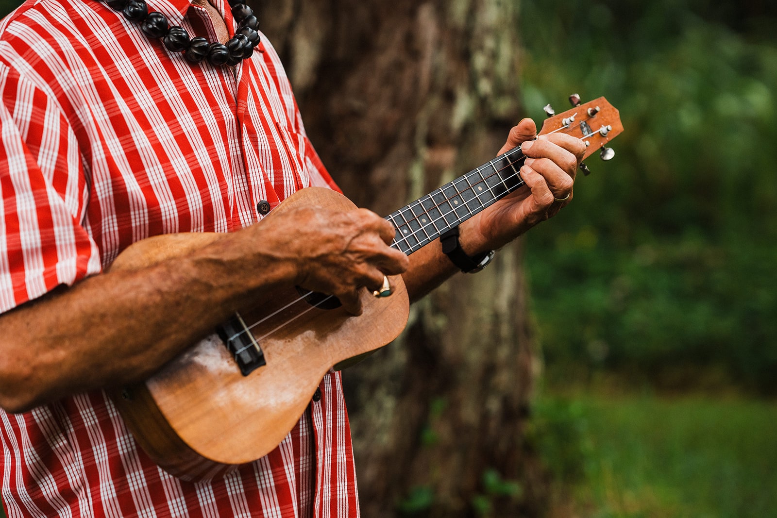 Man plays a ukulele for a wedding processional in Kauai.