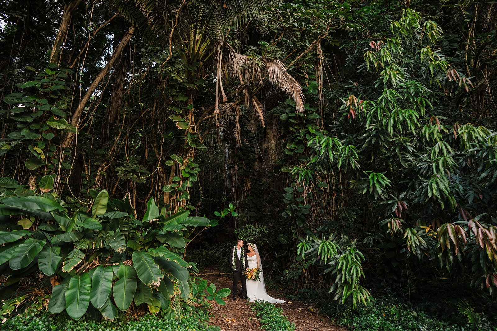 Bride and groom stand under jungle trees in Kauai.