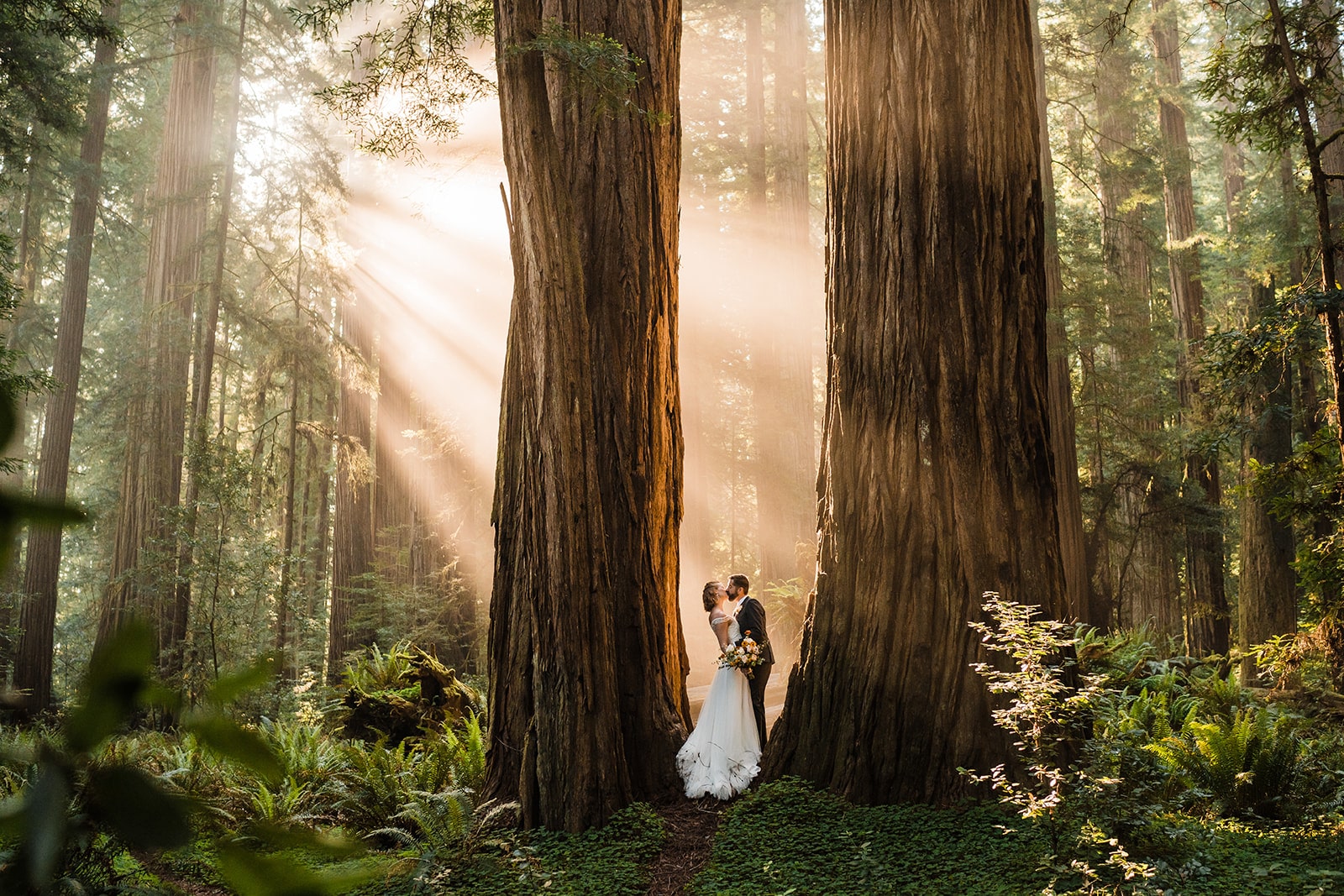 Bride and groom kiss in the Redwoods forest while the sun streams through the trees.