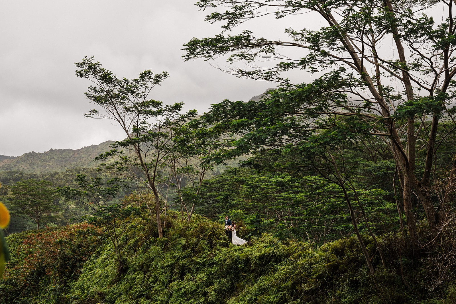 Bride and groom stand on a rainforest trail in Kauai during their adventure elopement activities. 