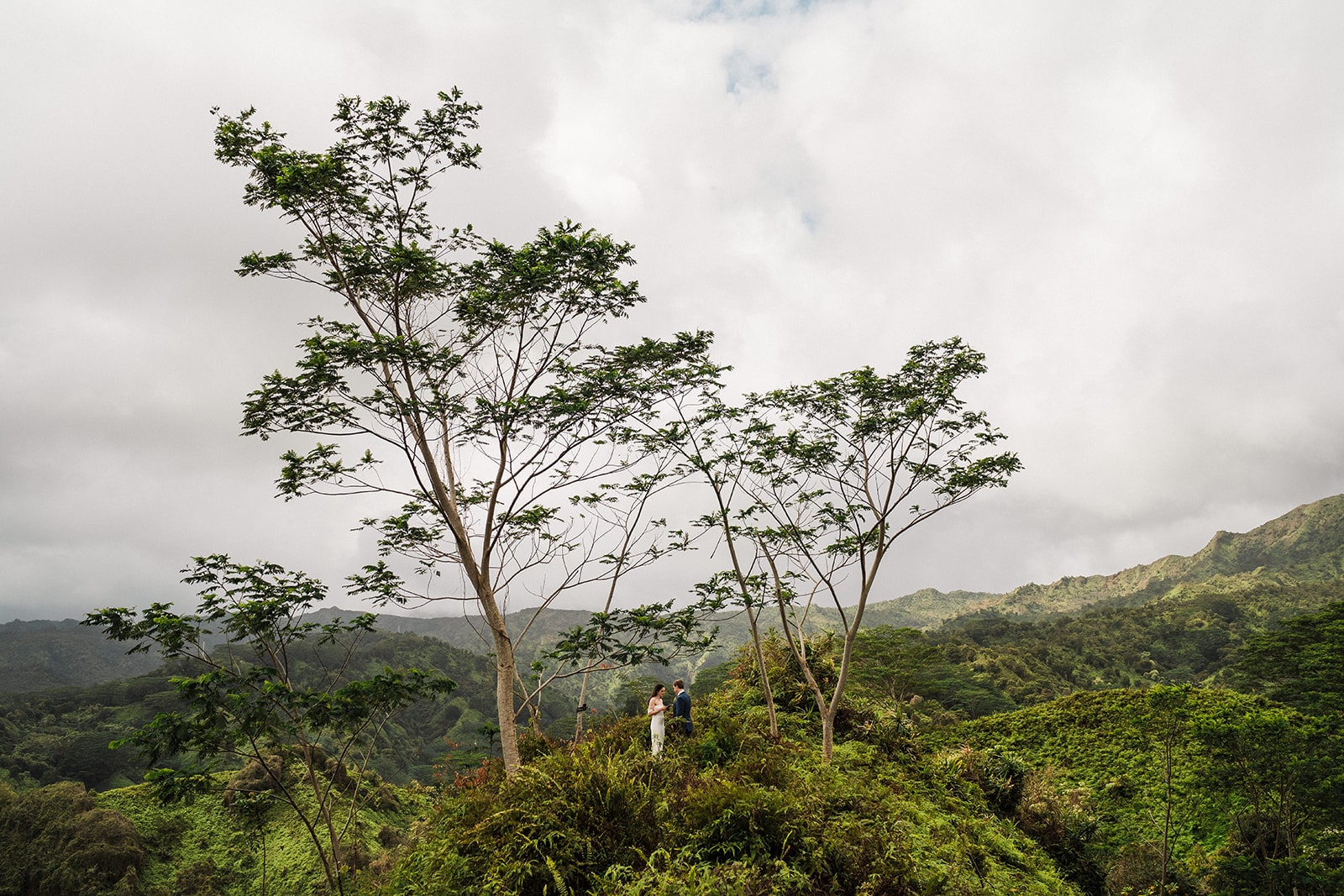 Bride and groom stand at the top of a ridge trail on the South Shore in Kauai.