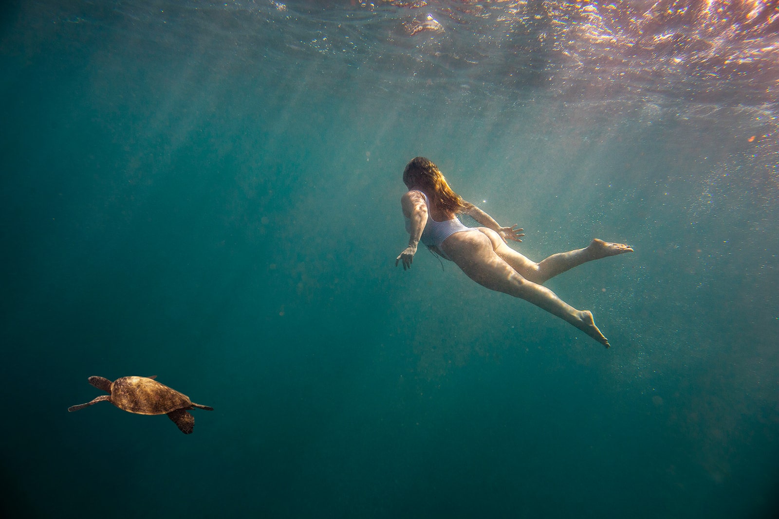 Woman swims under water with a sea turtle during one of her Kauai activities during her adventure elopement. 