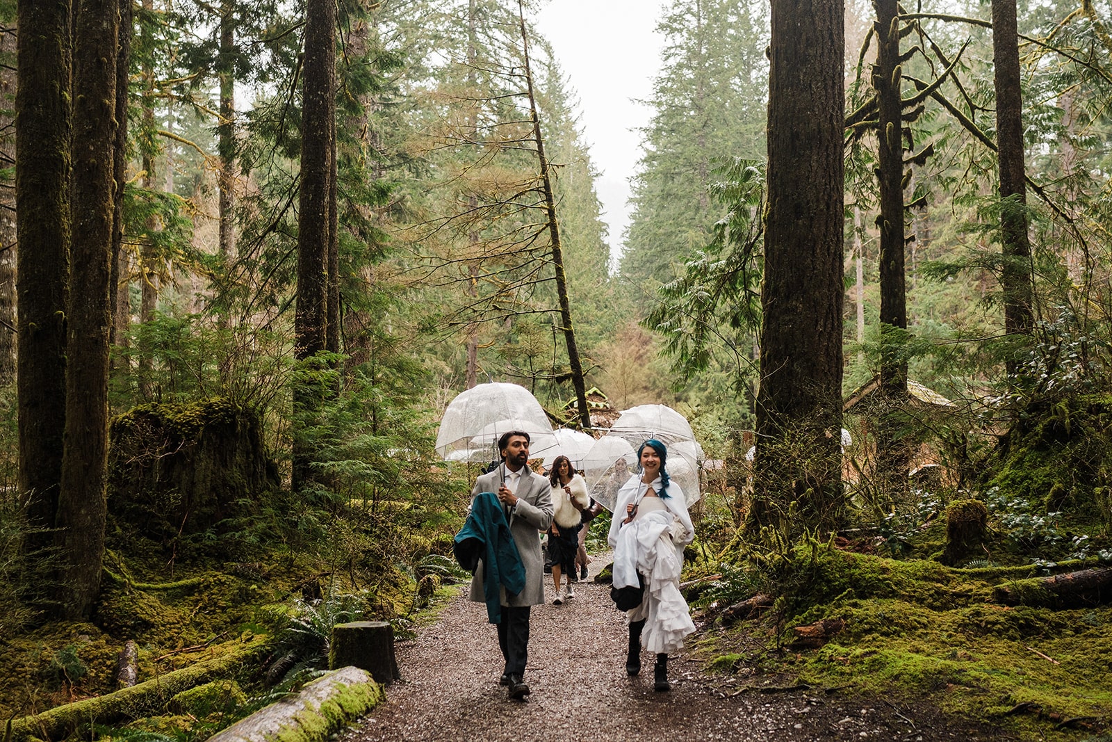 Bride, groom, and guests walk through a forest trail holding clear umbrellas. 