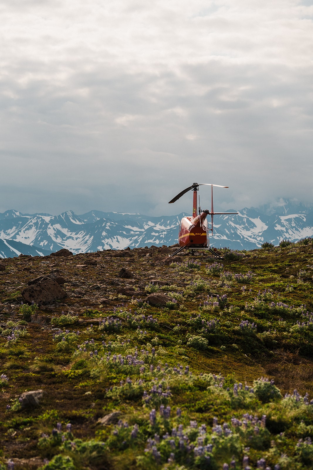 Red helicopter sits on a wildflower field on an Alaskan mountain.