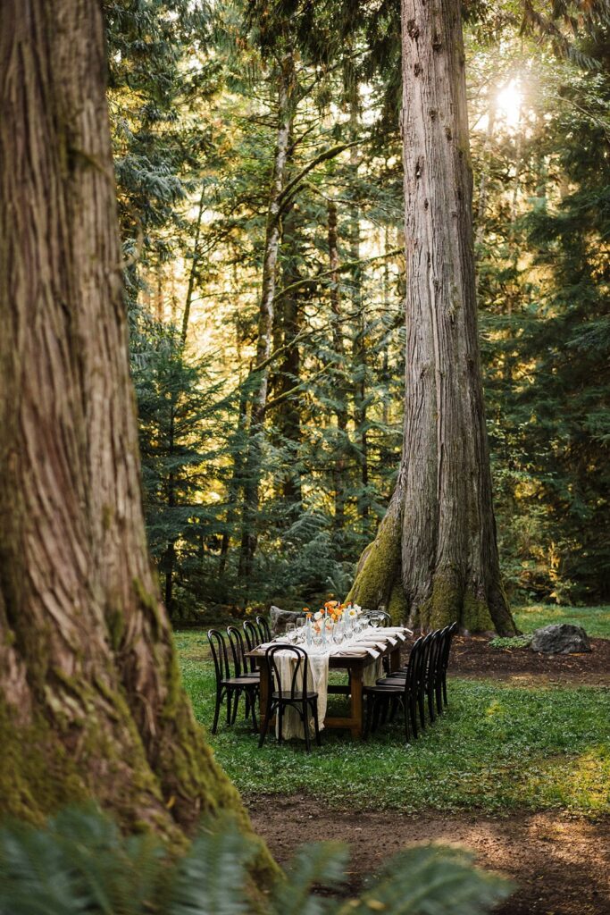 Wood table and chairs decorated for a micro wedding dinner in the forest. 