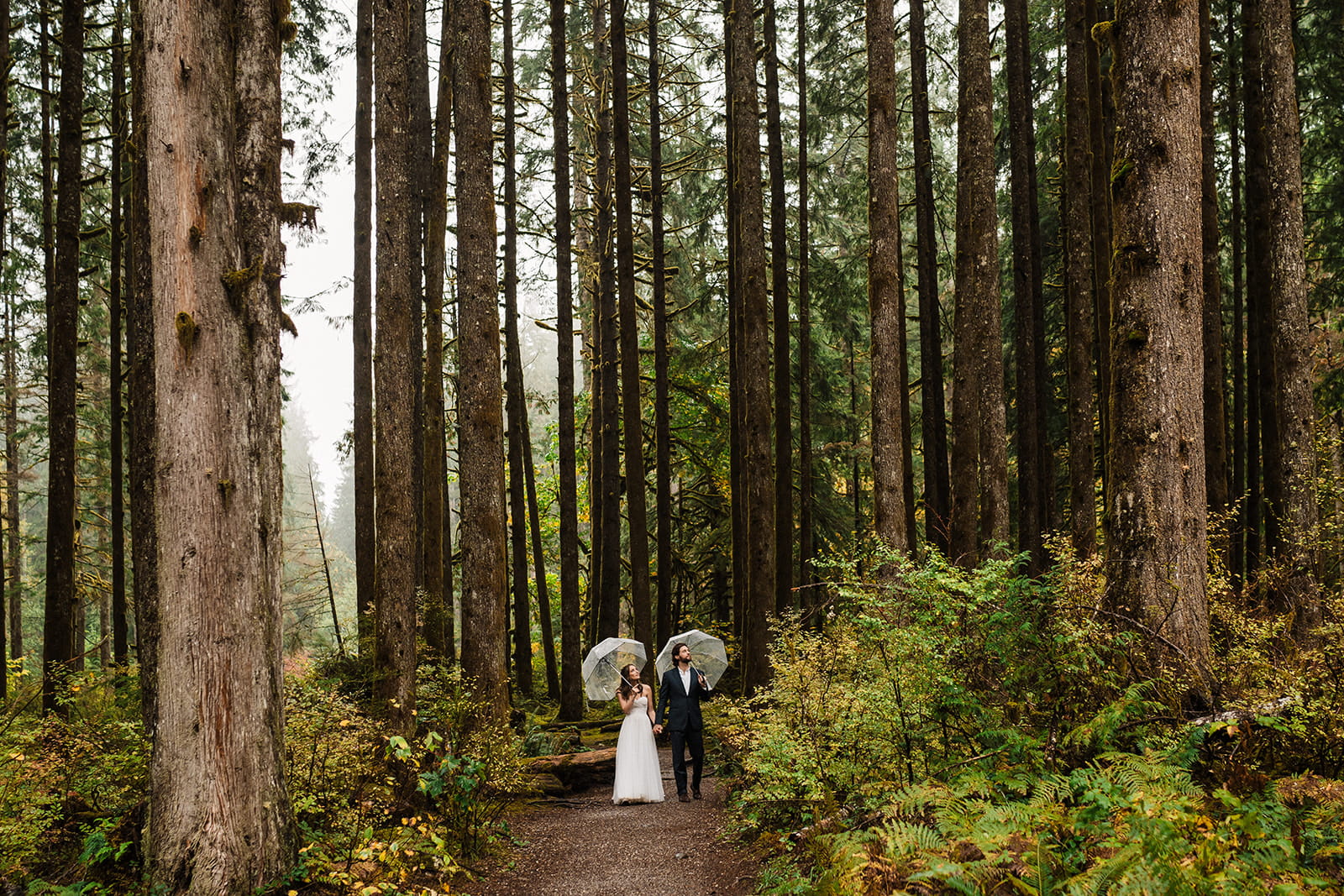 Bride and groom stroll through the forest carrying clear dome umbrellas during their rainy wedding day. 