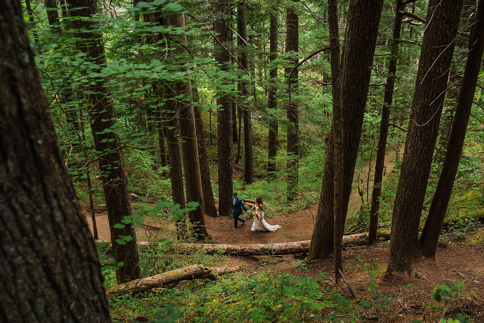 Bride and groom hold hands walking through the forest during their rainy day wedding photos in Washington. 