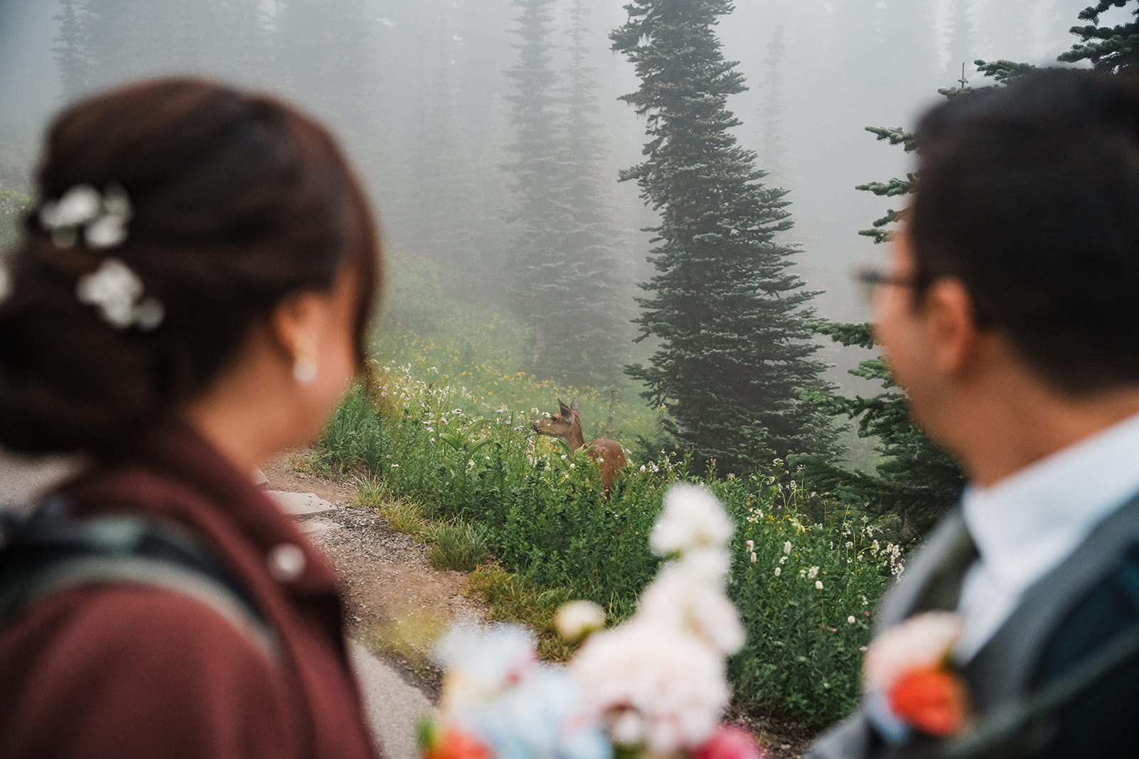 Bride and groom look at a nearby deer in a wildflower field while hiking at Mt Rainier. 