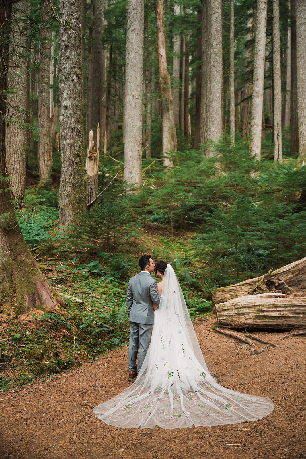 Newlyweds stand in a forest clearing during their Washington wedding portraits. 