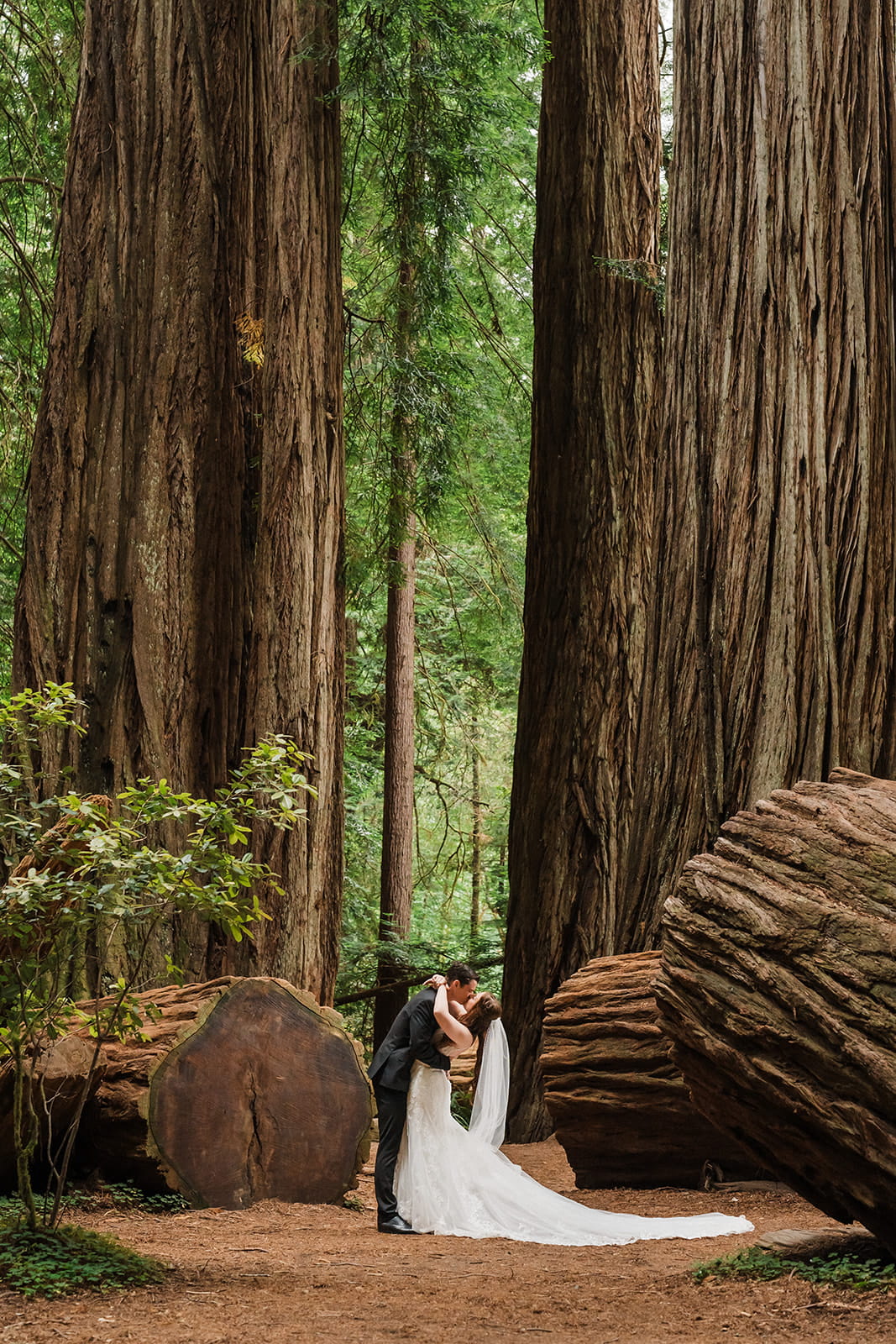 Bride and groom kiss in the redwood forest during their microwedding in Oregon.