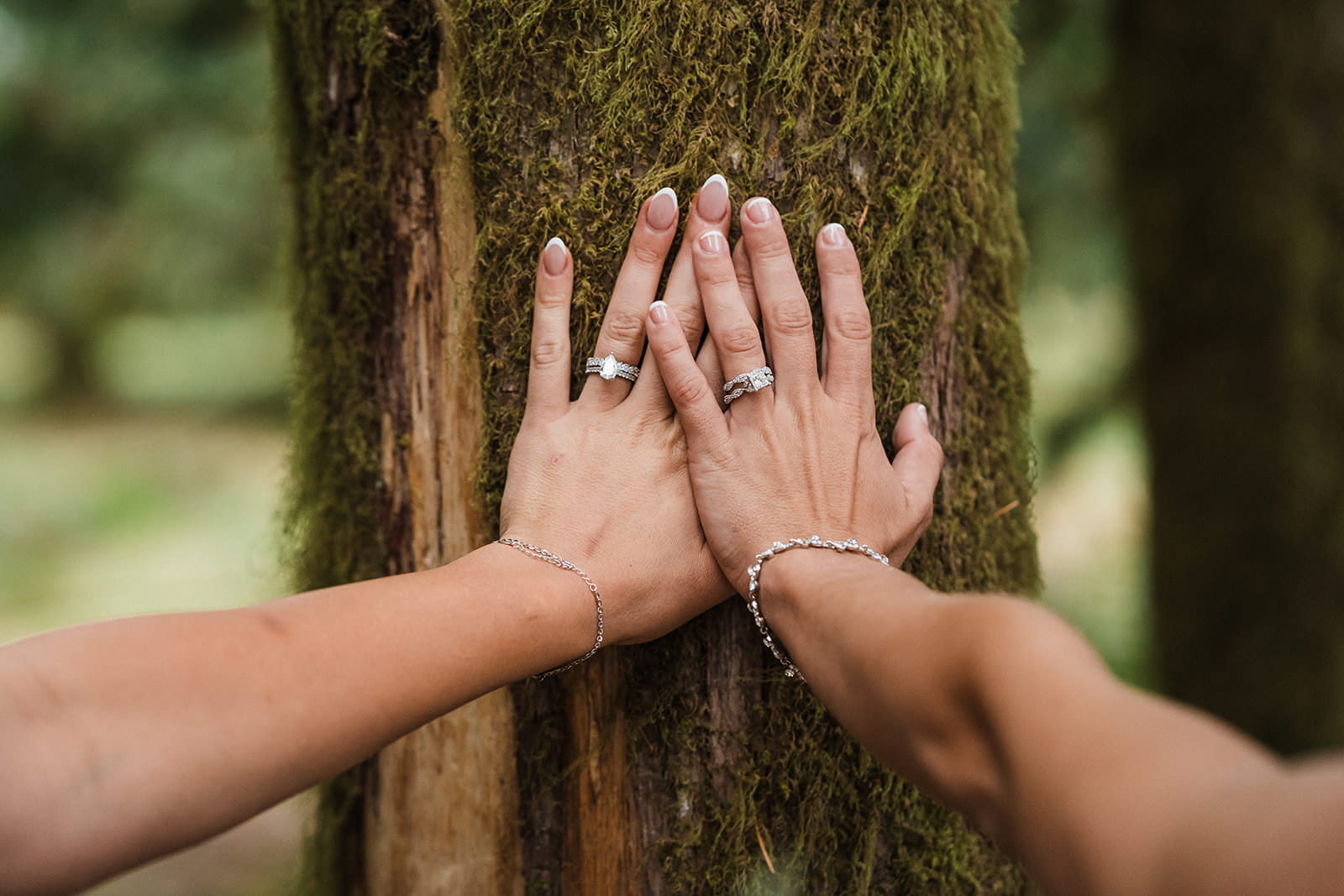 Brides touch hands on a forest tree.