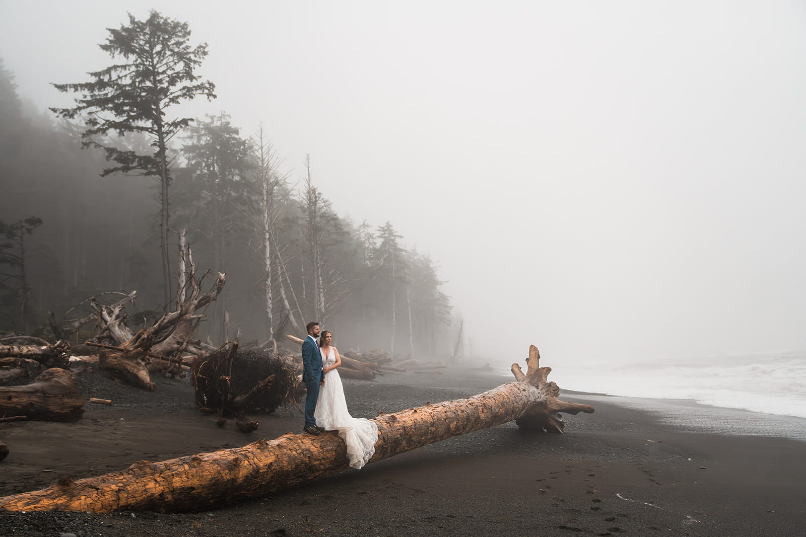 Bride and groom stand on a fallen tree at Rialto Beach during their full-day elopement on the Olympic Coast.
